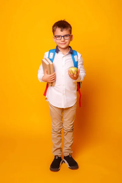 Ritratto Ravvicinato Schooloby Con Libri Mela — Foto Stock