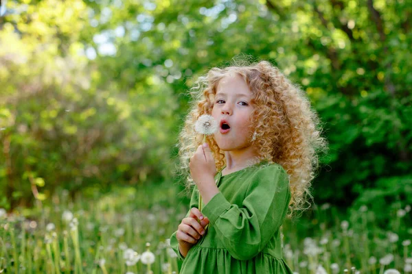 Pequena Encaracolado Loira Menina Soprando Dente Leão Parque — Fotografia de Stock