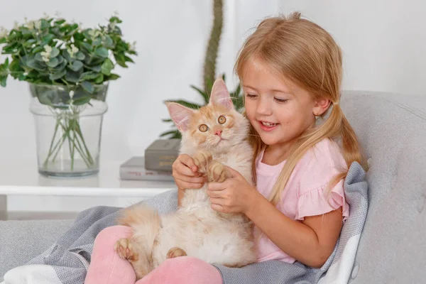 소녀가 담요로 고양이와 소파에 — 스톡 사진