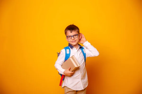 Ritratto Ravvicinato Scolaro Con Borsa Libri — Foto Stock