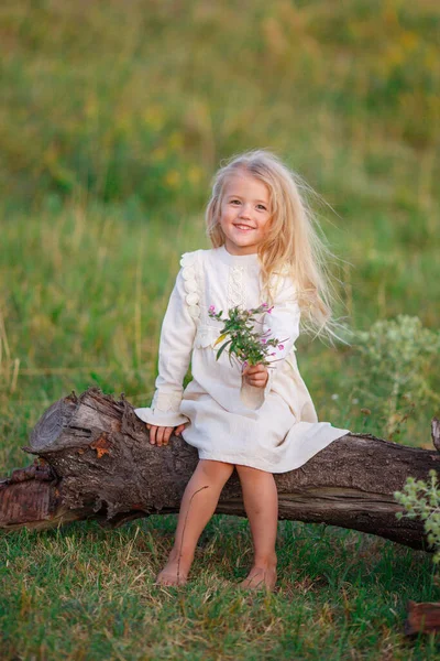 Schönes Mädchen Posiert Auf Feld Mit Blumen — Stockfoto