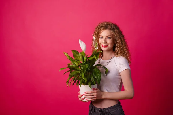 curly girl holding a pot with a flower on a pink background