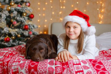 Noel Baba şapkalı ve köpeği olan bir kız Noel ağacının yanında yatıyordu.