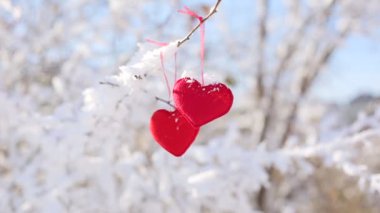 Ormanla kaplı ağaç dalındaki tekil kalpler.