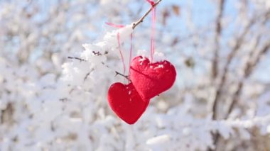 Ormanla kaplı ağaç dalındaki tekil kalpler.