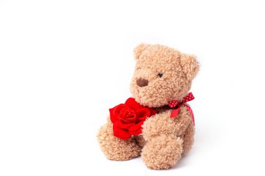 Gül Sevgililer Günü 'nde beyaz arka planda izole edilmiş oyuncak ayı.