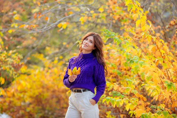 Eine Junge Frau Einem Herbstlichen Park Lila Pullover — Stockfoto