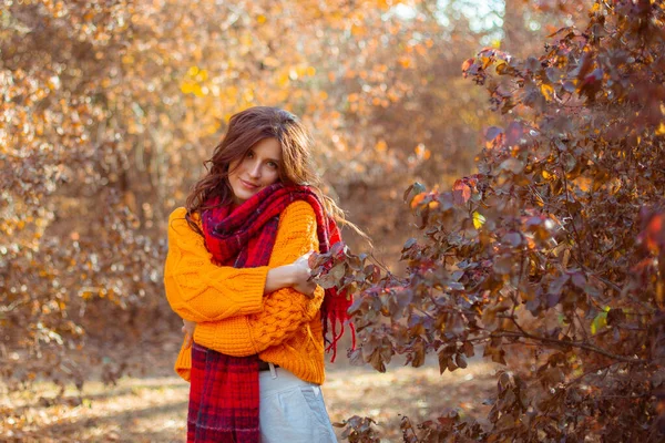 Eine Junge Frau Orangefarbenem Pullover Hüllt Sich Einem Herbstlichen Park — Stockfoto