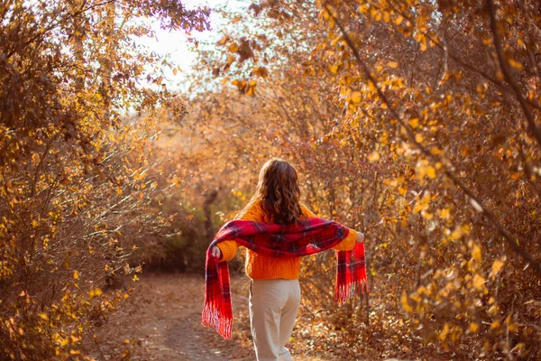 Une Jeune Femme Pull Orange Enveloppe Une Écharpe Dans Parc — Photo