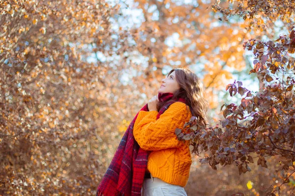 Ung Kvinna Orange Tröja Sveper Sig Halsduk Höstpark — Stockfoto