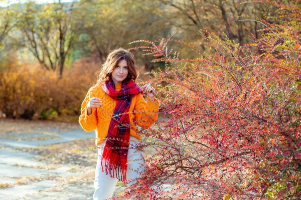 Eine Junge Frau Orangefarbenem Pullover Hüllt Sich Einem Herbstlichen Park — Stockfoto