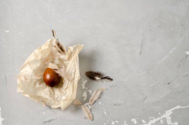 Paskalya geçmişi. Boyalı tavuk yumurtası, tüylü buruşuk bir kağıda uzanıyor ve beton gri bir zemin üzerinde düz bir düzen, kopyalama metni var.