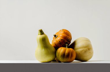 Gri arka planda balkabakları. Farklı şekillerde ve renklerde balkabaklarının sonbahar hediyeleri masanın üzerinde yatıyor. Kopyalama alanı ile merhaba sonbahar kavramı