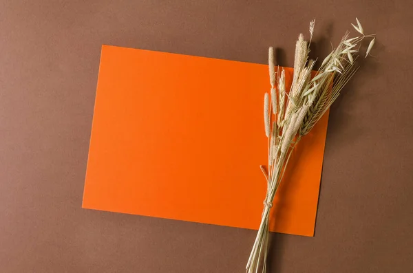 Oranje Model Bruine Achtergrond Herfst Boeket Droge Kruiden Een Oranje — Stockfoto