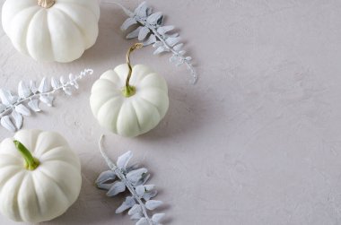 Minimalizm. Beyaz balkabakları ve dekoratif yapraklarla sonbahar arkaplanı, kopyalama metni, seçici odak