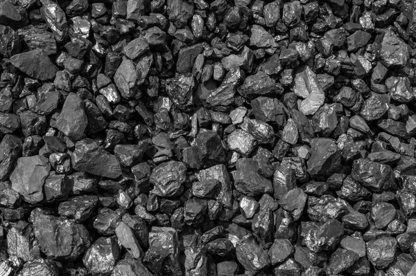 Nya Zeeland svart kol — Stockfoto