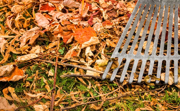 Garden Rake Time — Stock Photo, Image