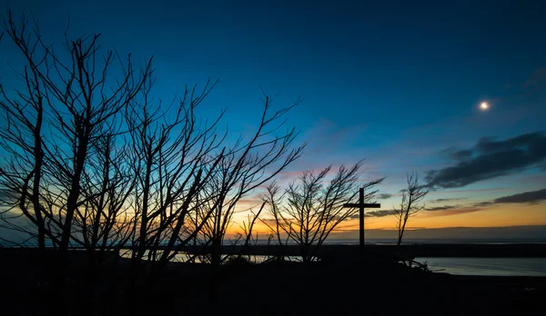 Dead Cross Trees Sunset — Stock Photo, Image