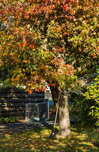 Autumn Garden Work — Stock Photo, Image
