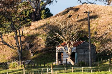 eski çiftlik döken