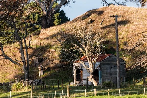 Old Farm Shed — Stock Photo, Image