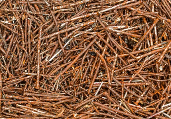 Old Used Nails — Stock Photo, Image