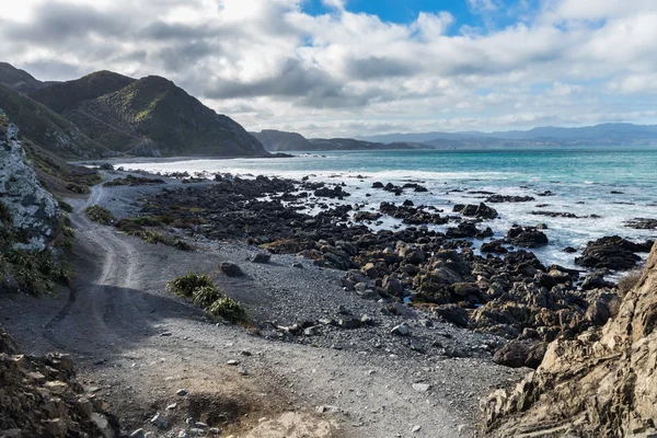 Te Kopahou Reserve — Stock Fotó