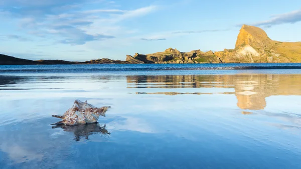 Castlepoint concha playa — Foto de Stock