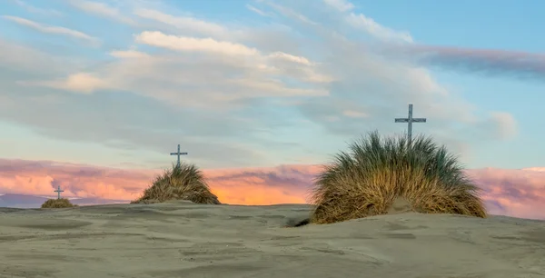 Tree Cross Sand Dnues — Stock Photo, Image