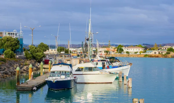 Some Boats Napier Harbour — Stock Photo, Image