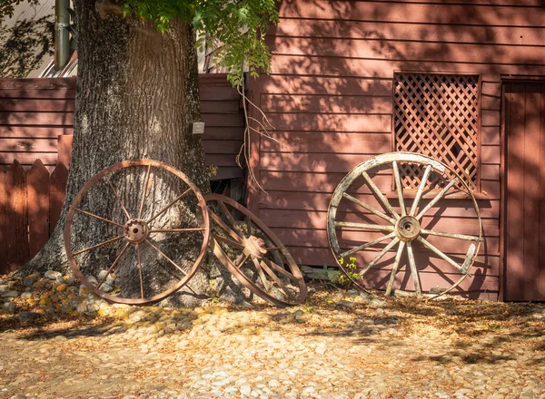 Three Old Spoke Wagoon Cart Tree — Foto Stock
