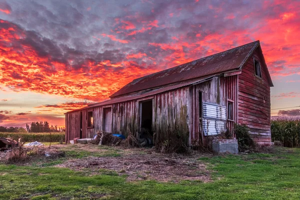 One Very Old Run Farm Red Farm Shed Fiery Sky — ストック写真