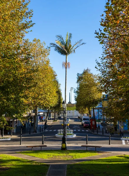 Whanganui Rangitikei New Zealand 2021年10月1日閲覧 市内中心部のショッピングエリアにあるマジェスティック広場は日陰で休息するのに最適な場所です — ストック写真