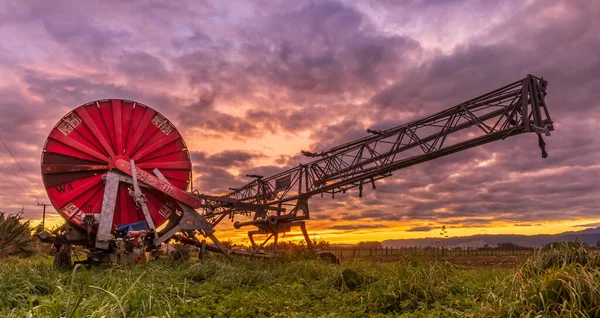 Levin Horowhenua Nueva Zelanda 2021 Cielo Del Amanecer Detrás Gran —  Fotos de Stock