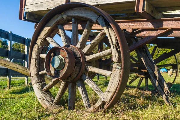 Eski bir çiftlik arabasında eski bir araba tekerleği.