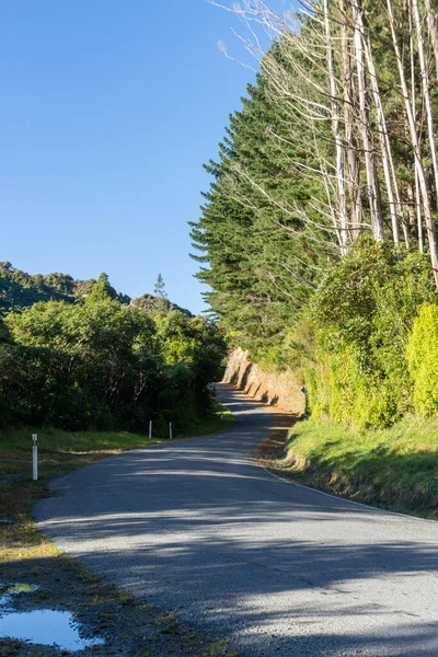 Merveilleuse Route Campagne Dans Région Otaki — Photo