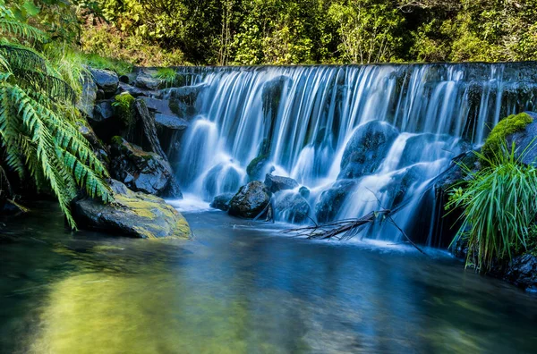 Nueva Zelanda Maravilloso País Ríos Arroyos Que Fluyen Través Arbustos —  Fotos de Stock