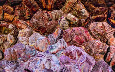 Desen camının deseninde renk karışımı var..