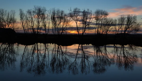 Winter Trees Water Sunset — Stock Photo, Image