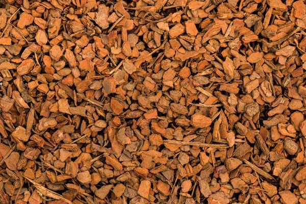 Texture di chip di pino — Foto Stock