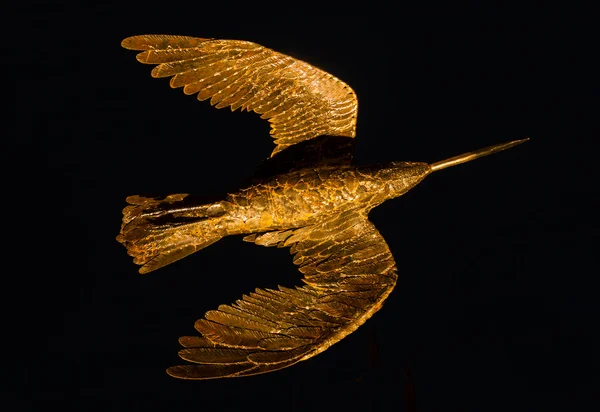 Złoty ptak — Zdjęcie stockowe