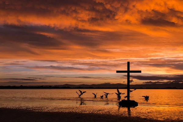 Cruzeiro de pássaros — Fotografia de Stock