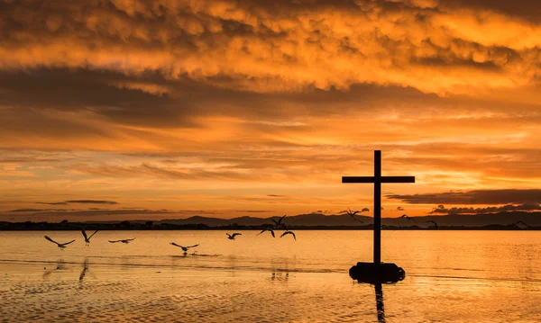 Dawn Birds Flight Cross — Stock Photo, Image