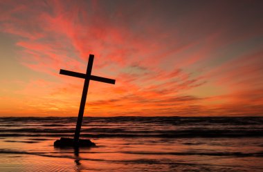 Yalın Oever çapraz