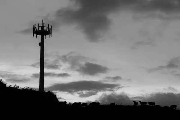 Mobiltelefon torony — Stock Fotó