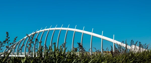 Te Rewa Rewa-brug — Stockfoto