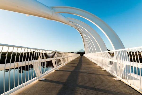 Passerelle du pont Te Rewa Rewa — Photo