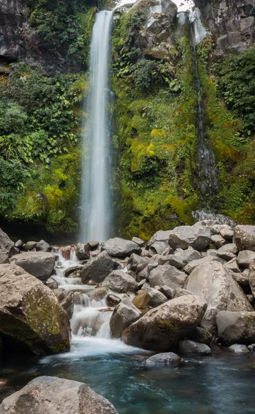 Dawson Falls Νέα Ζηλανδία — Φωτογραφία Αρχείου