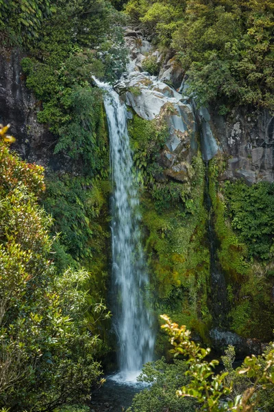 Dawson Falls. — Foto de Stock