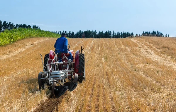 First Cut — Stock Photo, Image